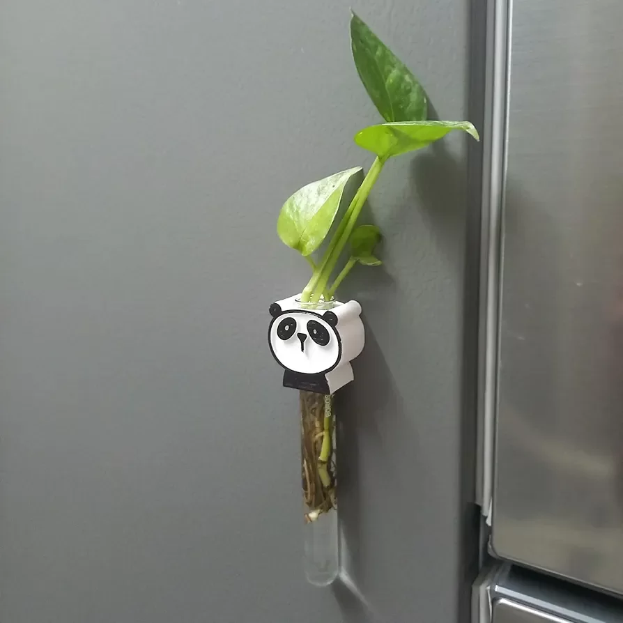 Pannda Magnetic Planter for Wall or Fridge - Perfect for Small Plants